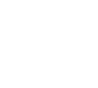 Betsson Logo